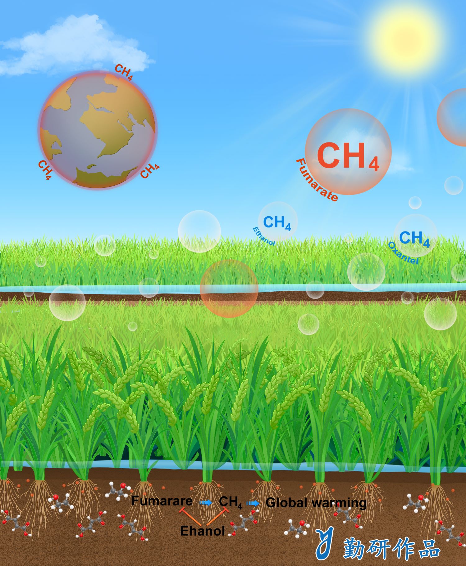 Molecular Plant