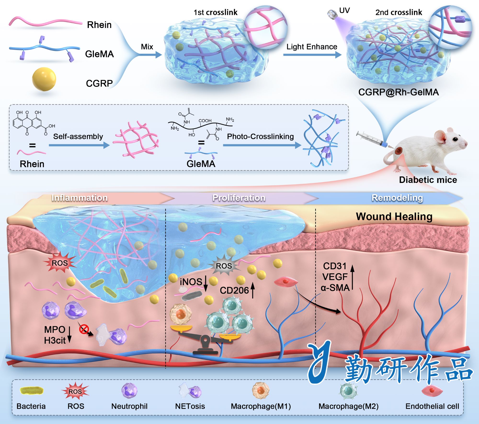 Journal of Nanobiotechnology