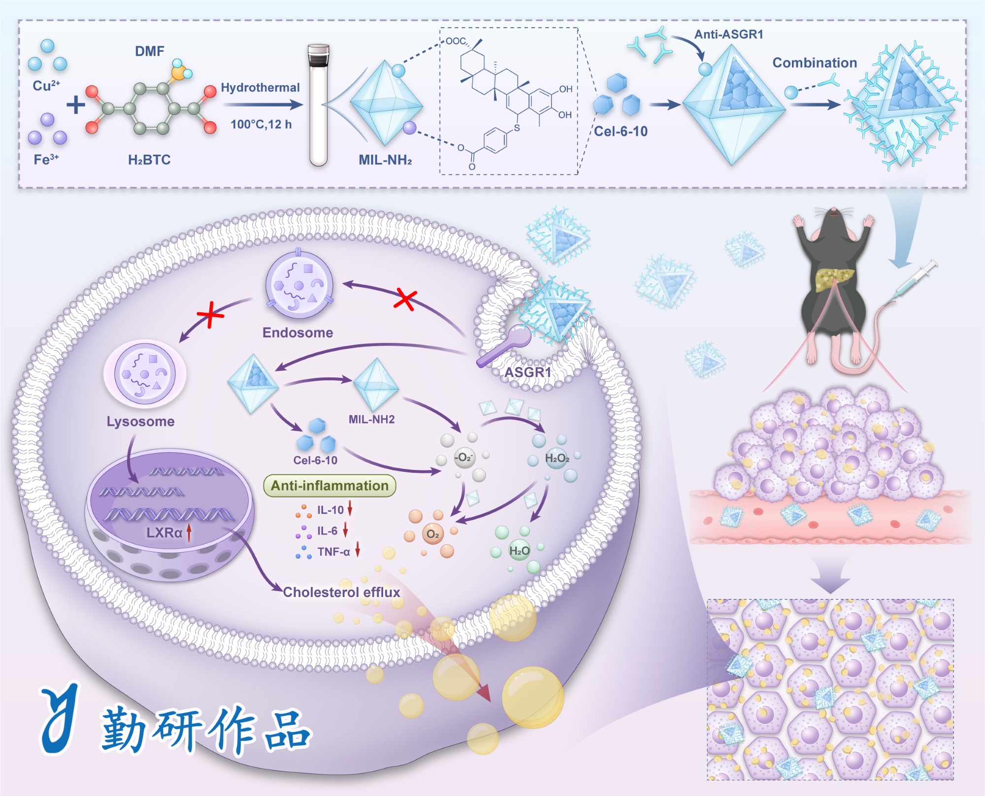 Biomaterials Advances