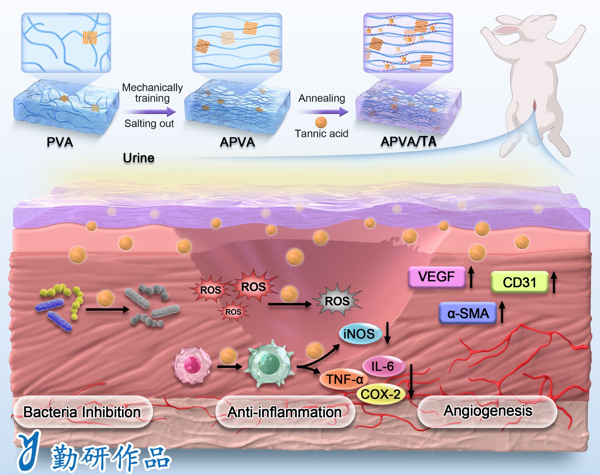 Biomaterials
