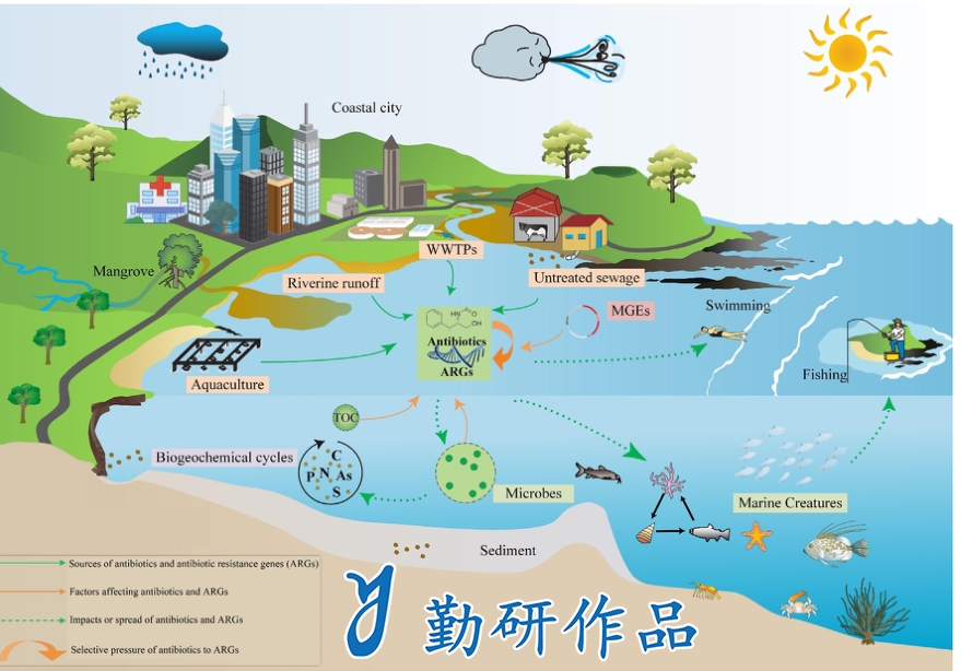Science of The Total Environment