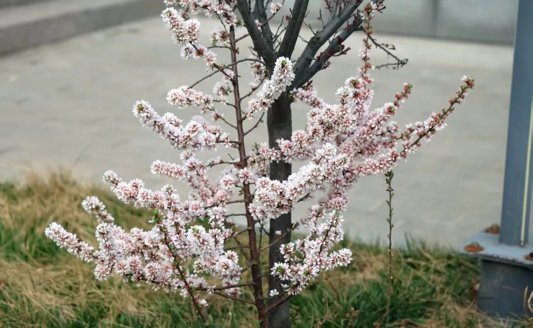 春满沧航 | 研学正当时，青春正发光