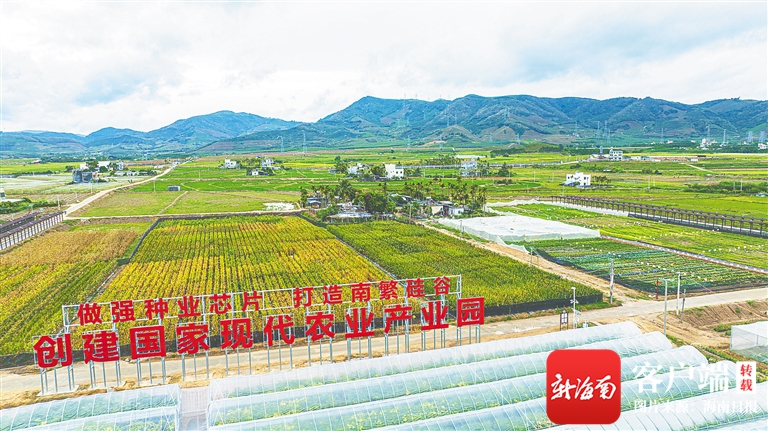 南繁新垦耕地“改土增产”路线图：三类改良剂谁主沉浮？