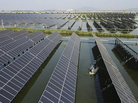 三峡能源 渔光互补光伏发电站