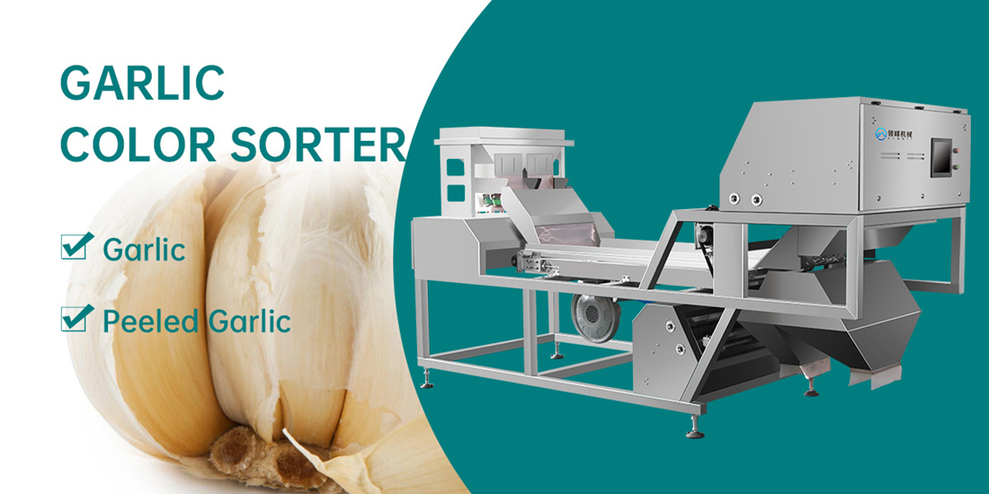 Revolutionizing Garlic Processing: The Advanced Technology Behind Garlic Color Sorting Machines