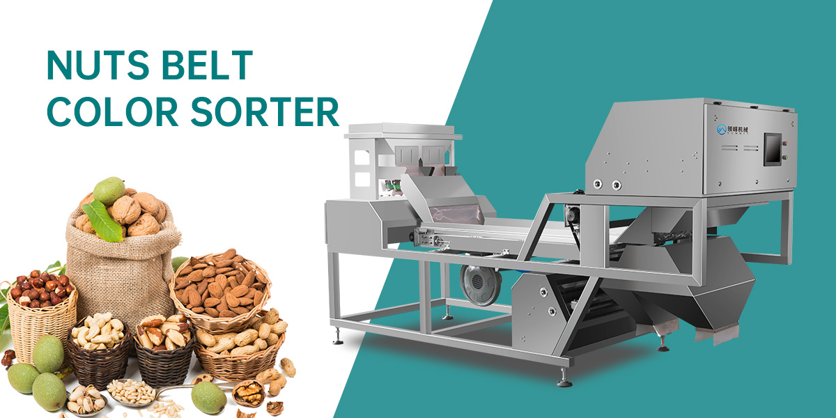 Enhancing Quality and Efficiency: The Critical Role of Optical Sorters in Nut Processing