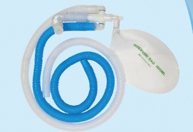 公司管理层参加内审员培训