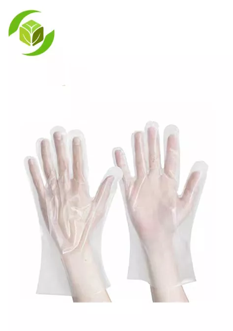 Compostable Food Prep Gloves
