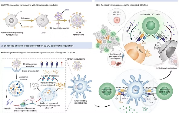 Congratulations! Qing's recent work was accepted by Nature Nanotechnology