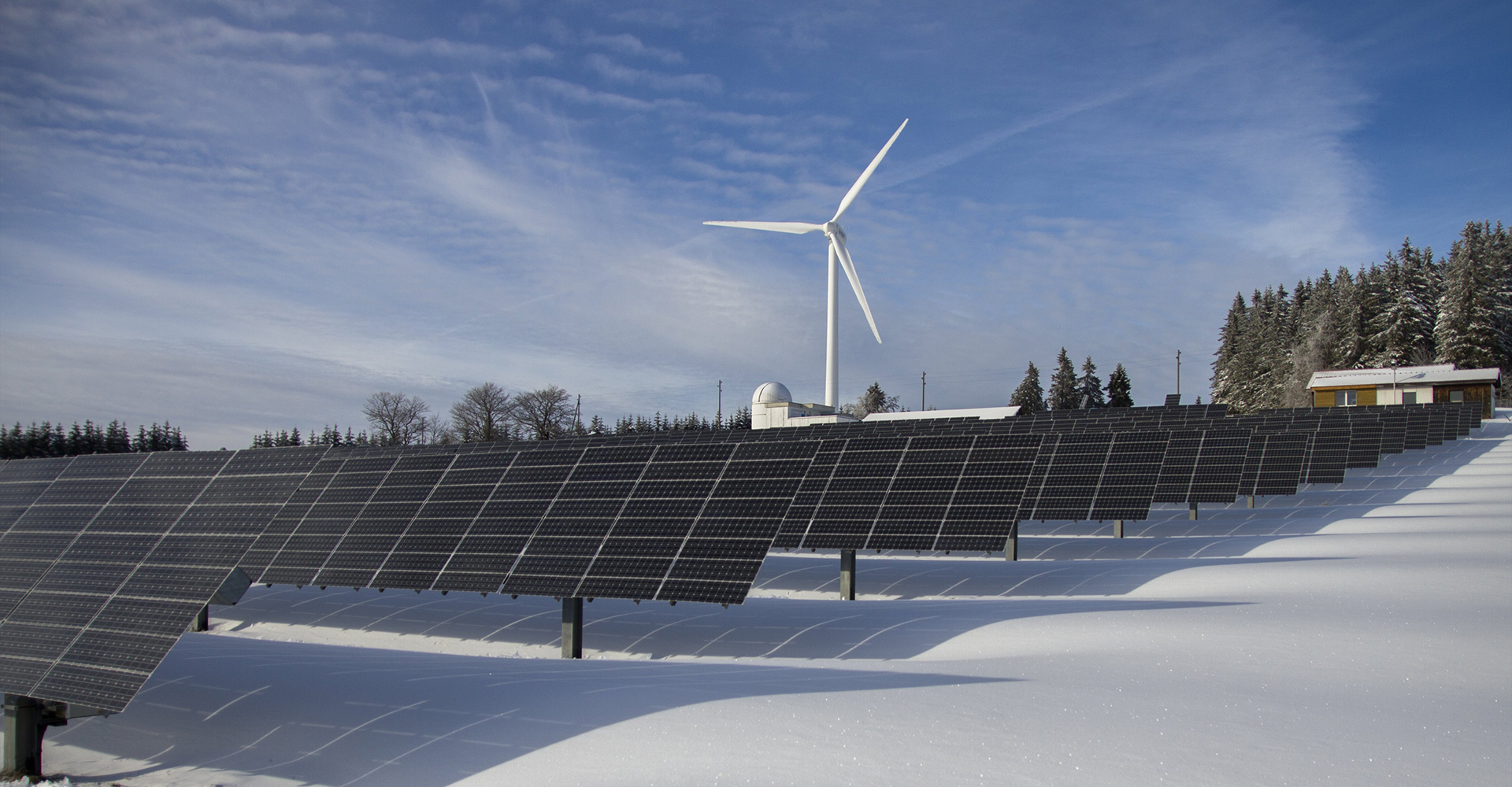 Global Case headline