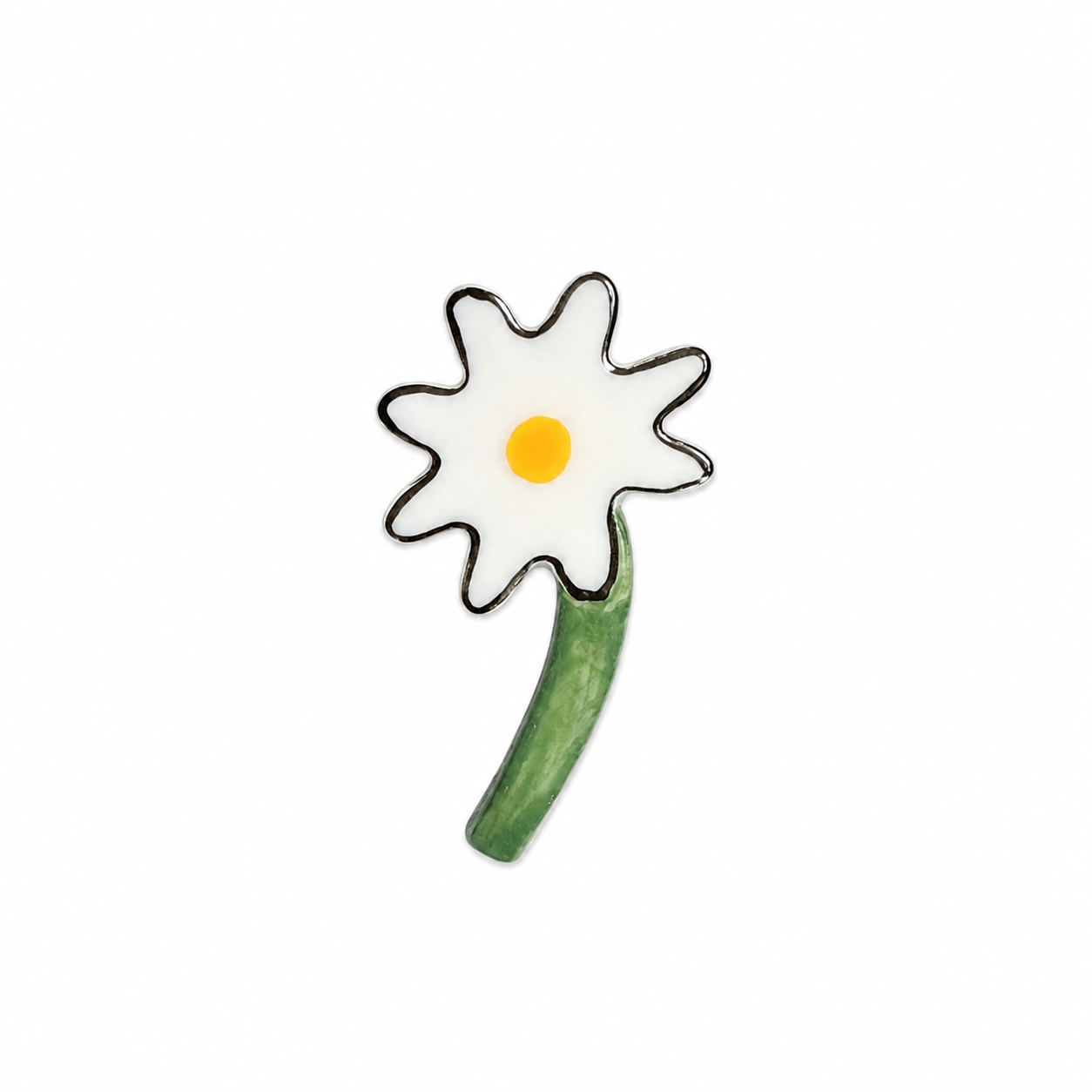 大滨菊