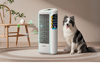 Why Your Needs an Air Purifier？