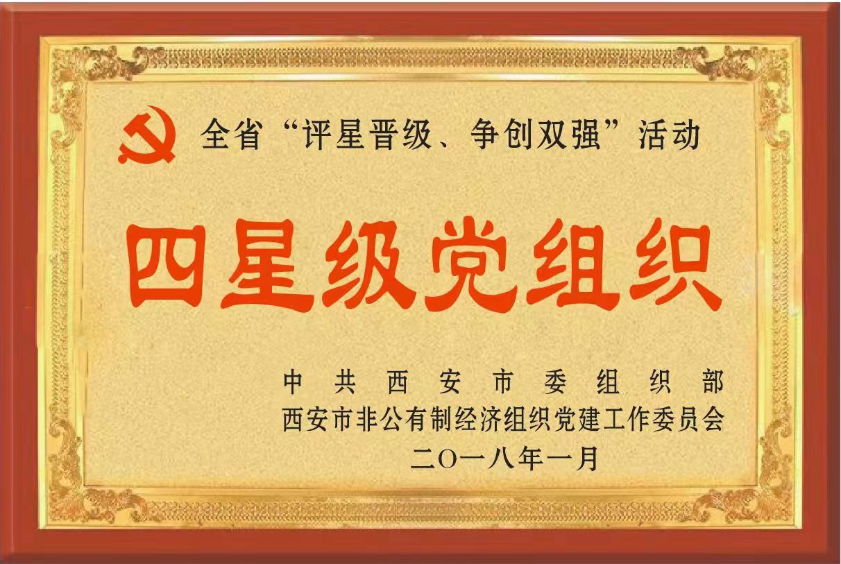 四星级党组织