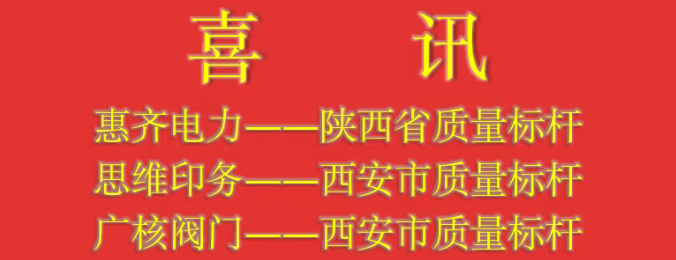惠齐电力、思维印务、广核阀门获评省、市两级“质量标杆”荣誉