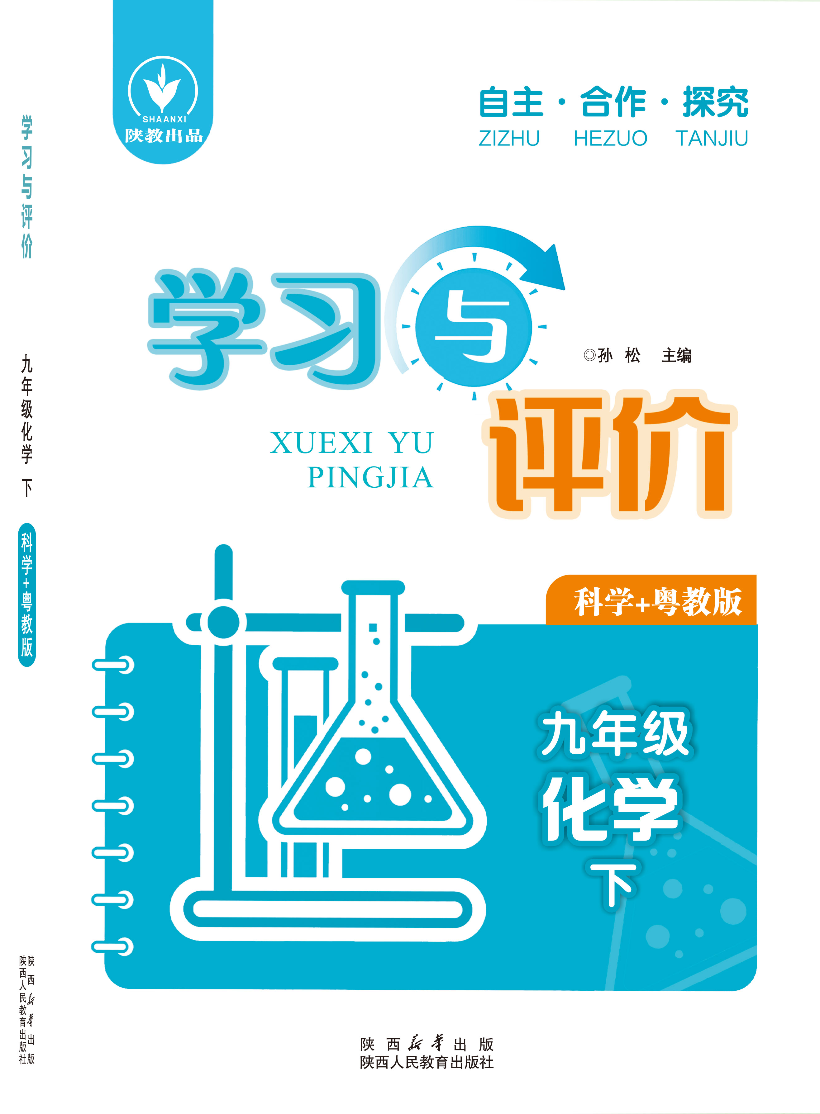 学习与评价 数学 九年级