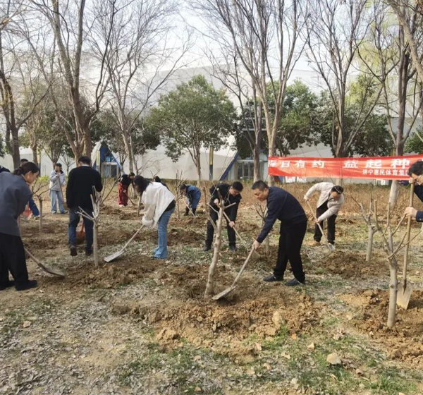 春日有约  益起种树——体育集团开展植树节活动