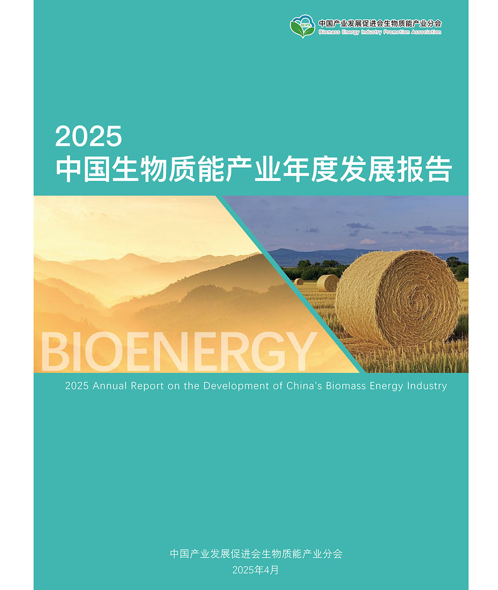 2025中国生物质能产业发展年度报告
