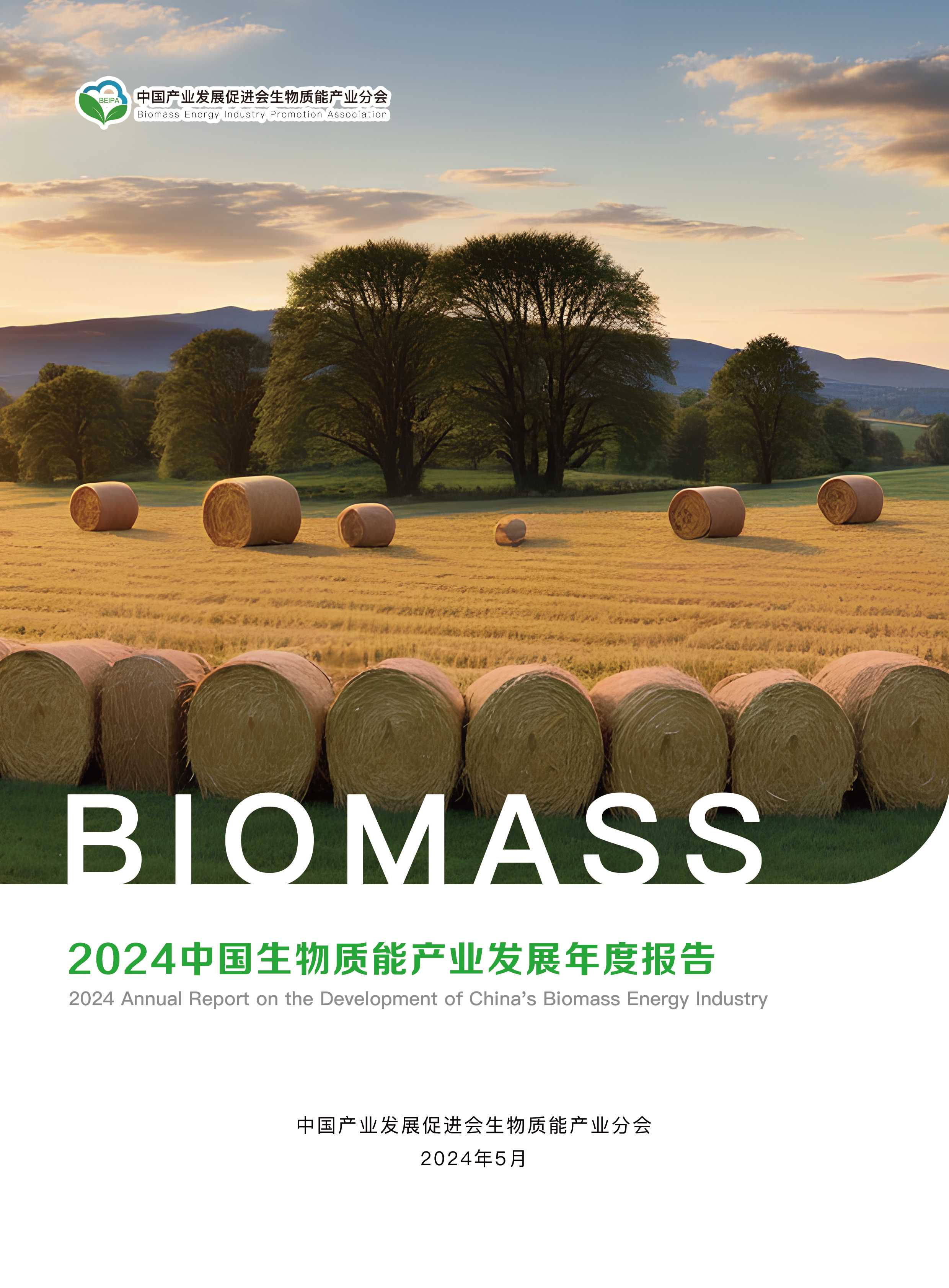 2024中国生物质能产业发展年度报告
