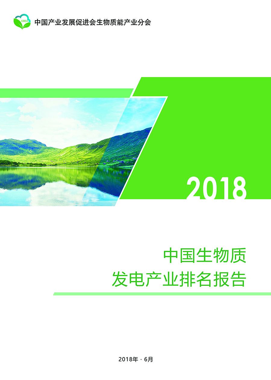 2018年中国生物质能发电产业排名报告