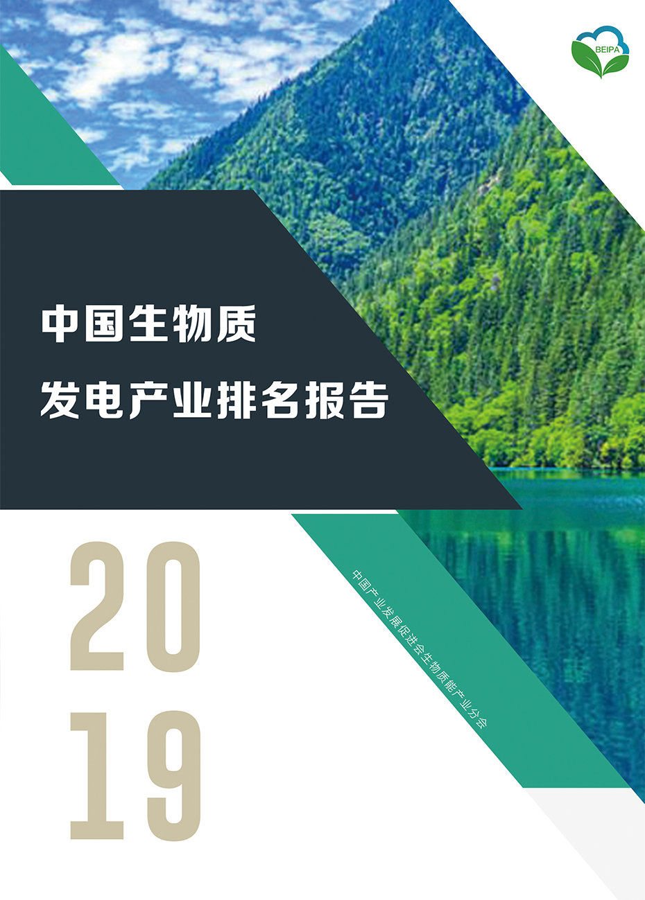 2019中国生物质发电产业排名报告
