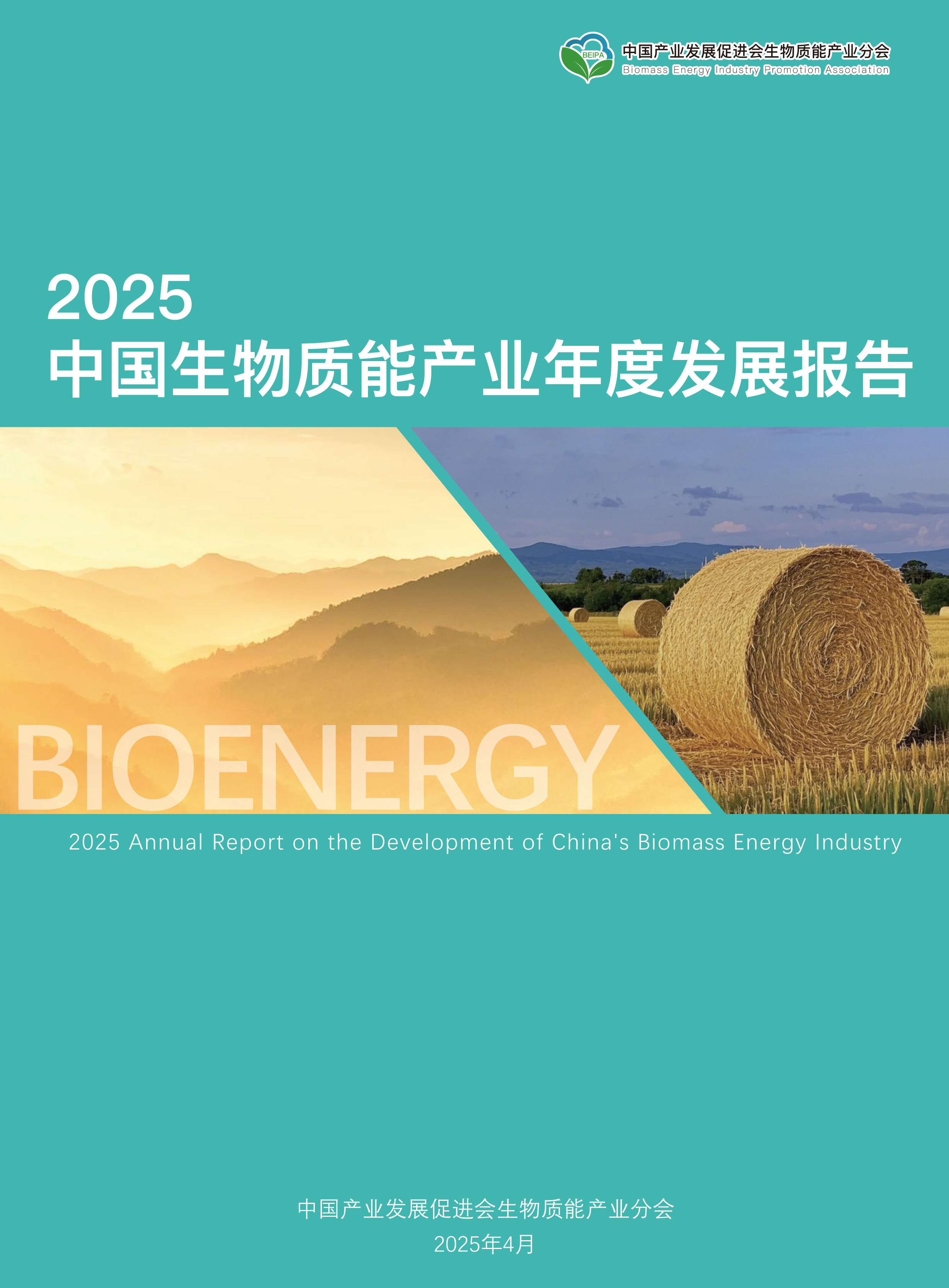 2025中国生物质能产业发展年度报告