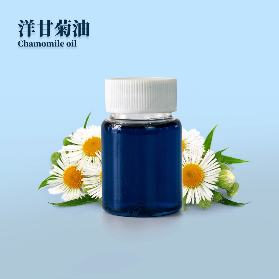 罗马洋甘菊精油