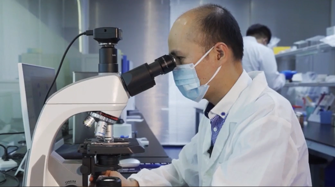 仅4ml血就可查肿瘤风险，普陀这家企业的检测技术取得全球突破，早期检测率达83%