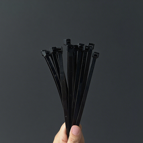 PA12 Cable Tie