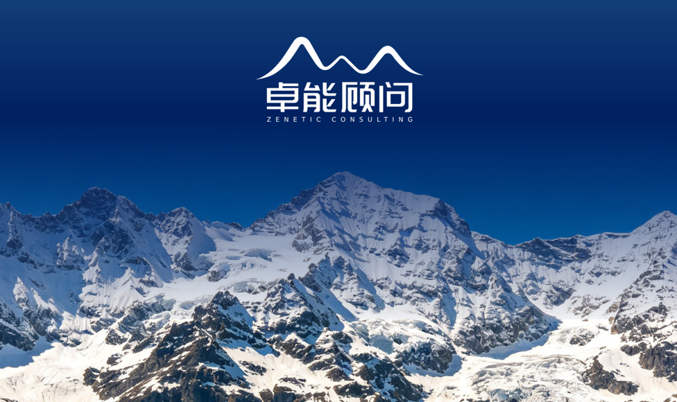 行动学习项目