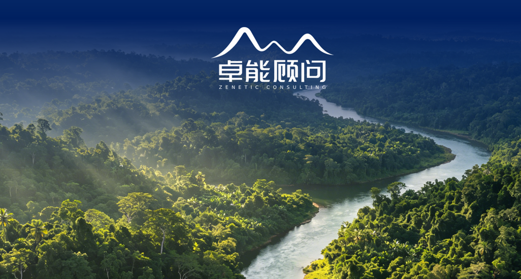 管控咨询