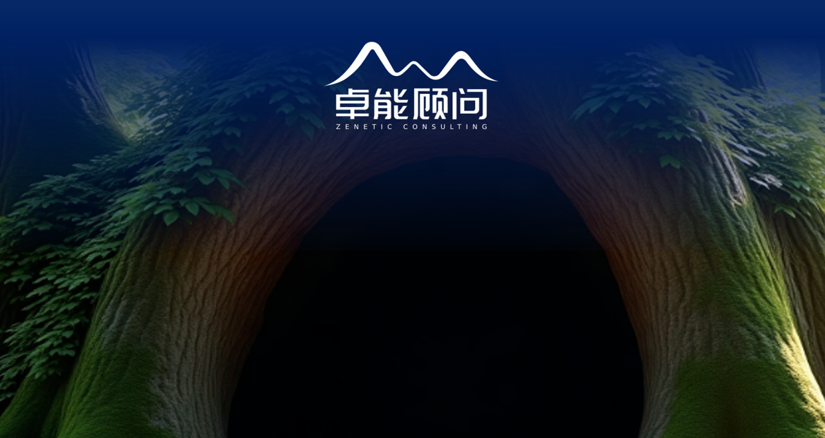 企业文化咨询