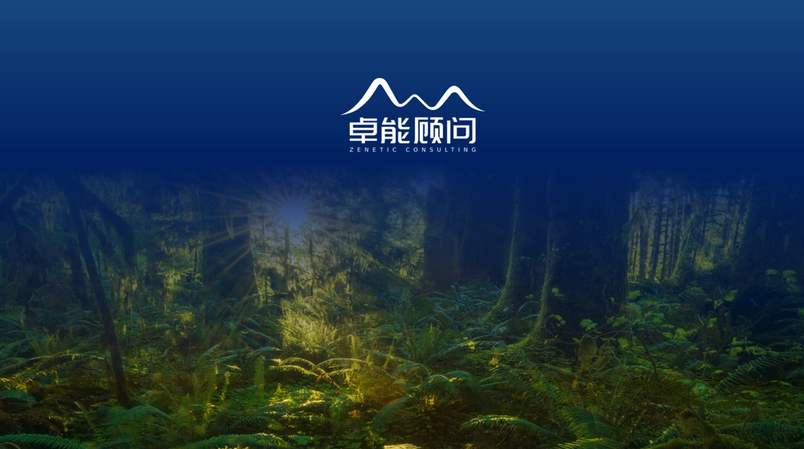 组织体系咨询