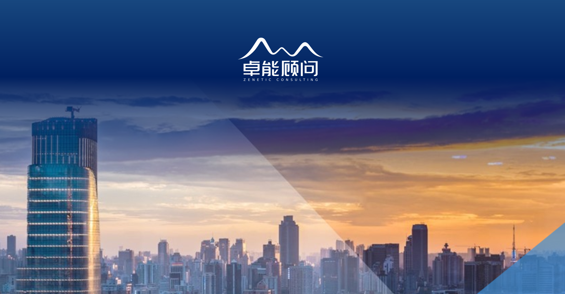 年度顾问服务项目