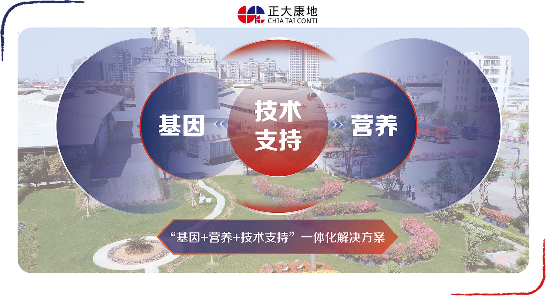 国家生猪产业技术体系发布《生猪养殖降本增效技术指导意见》，正大康地前瞻性契合国家政策导向提出立体化解决方案