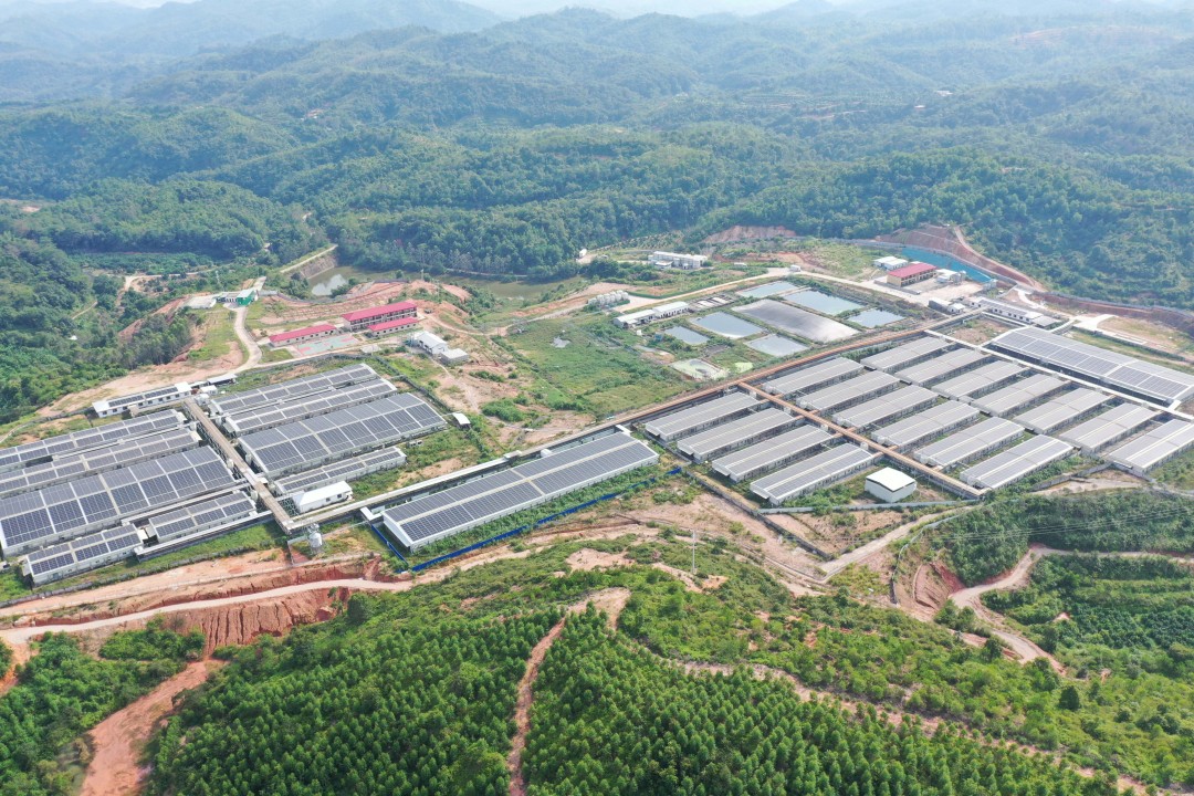 正大康地梅州公司正式入选广东省省级种畜禽核心场