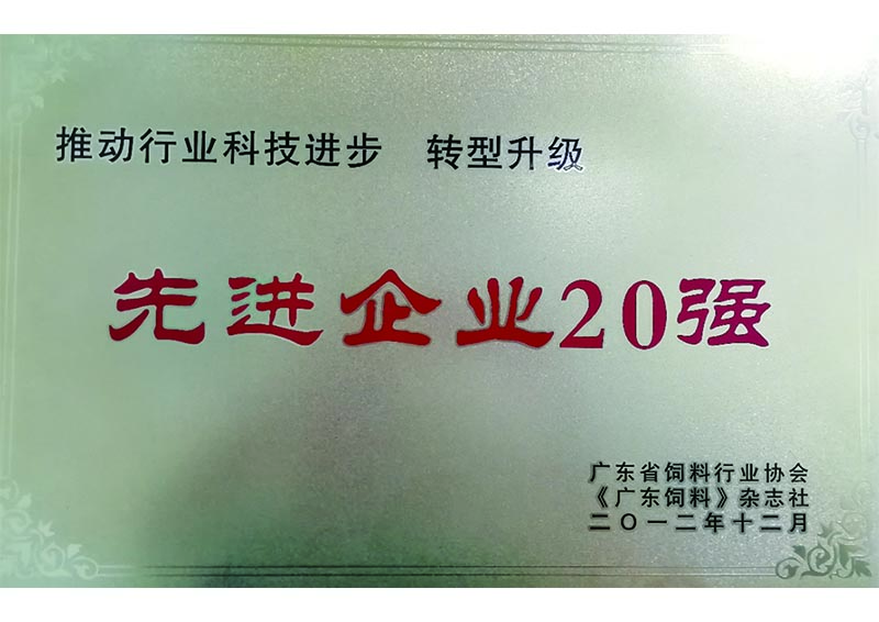 2012年12月获得先进企业20强