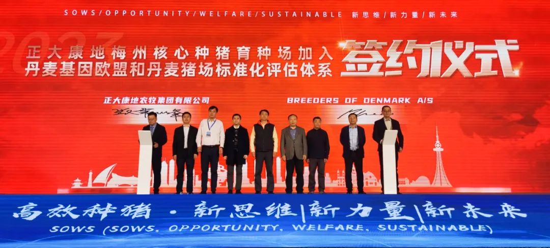 签约成功！国内首家！正大康地梅州核心种猪场正式加入丹麦基因欧盟和丹麦猪场标准化评估体系