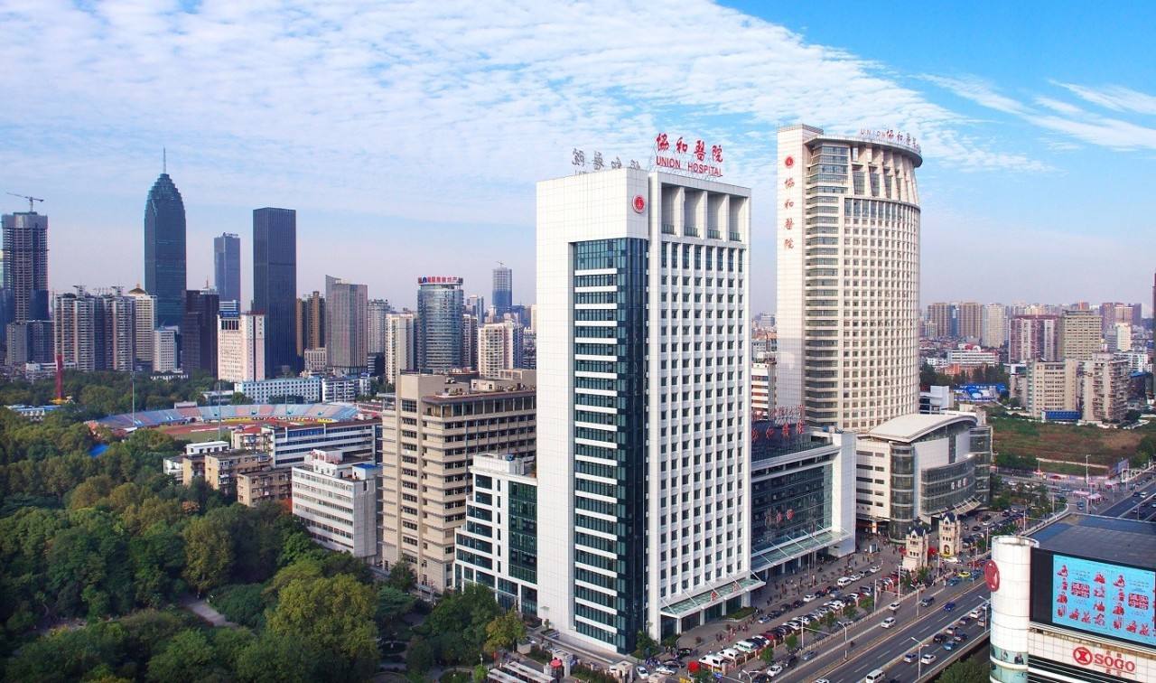 华中科技大学协和深圳医院：一枝一叶总关情