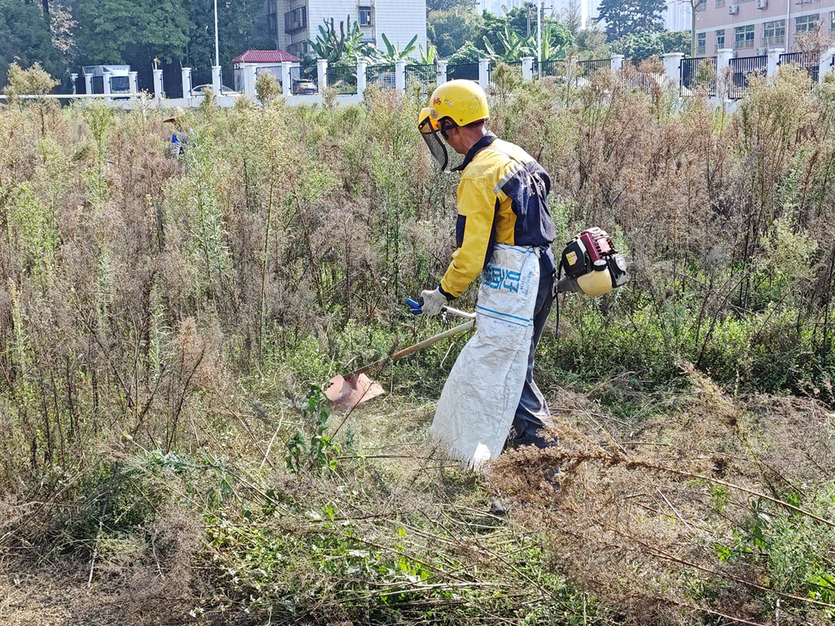 体育场开荒