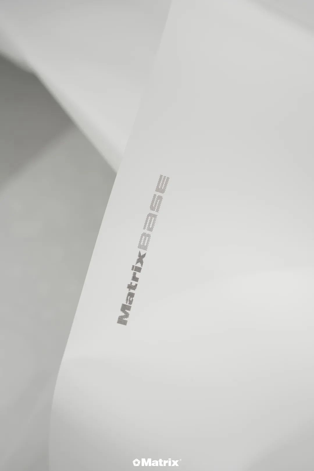 BASE，长“大”了！