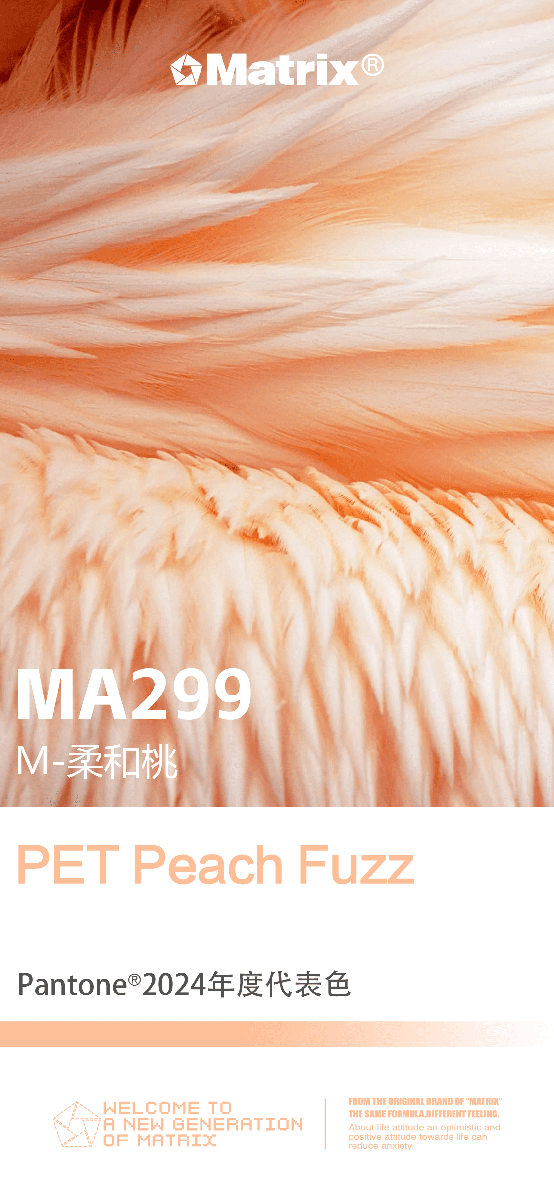 Matrix®全新改色膜发售——2024年度代表色🍑