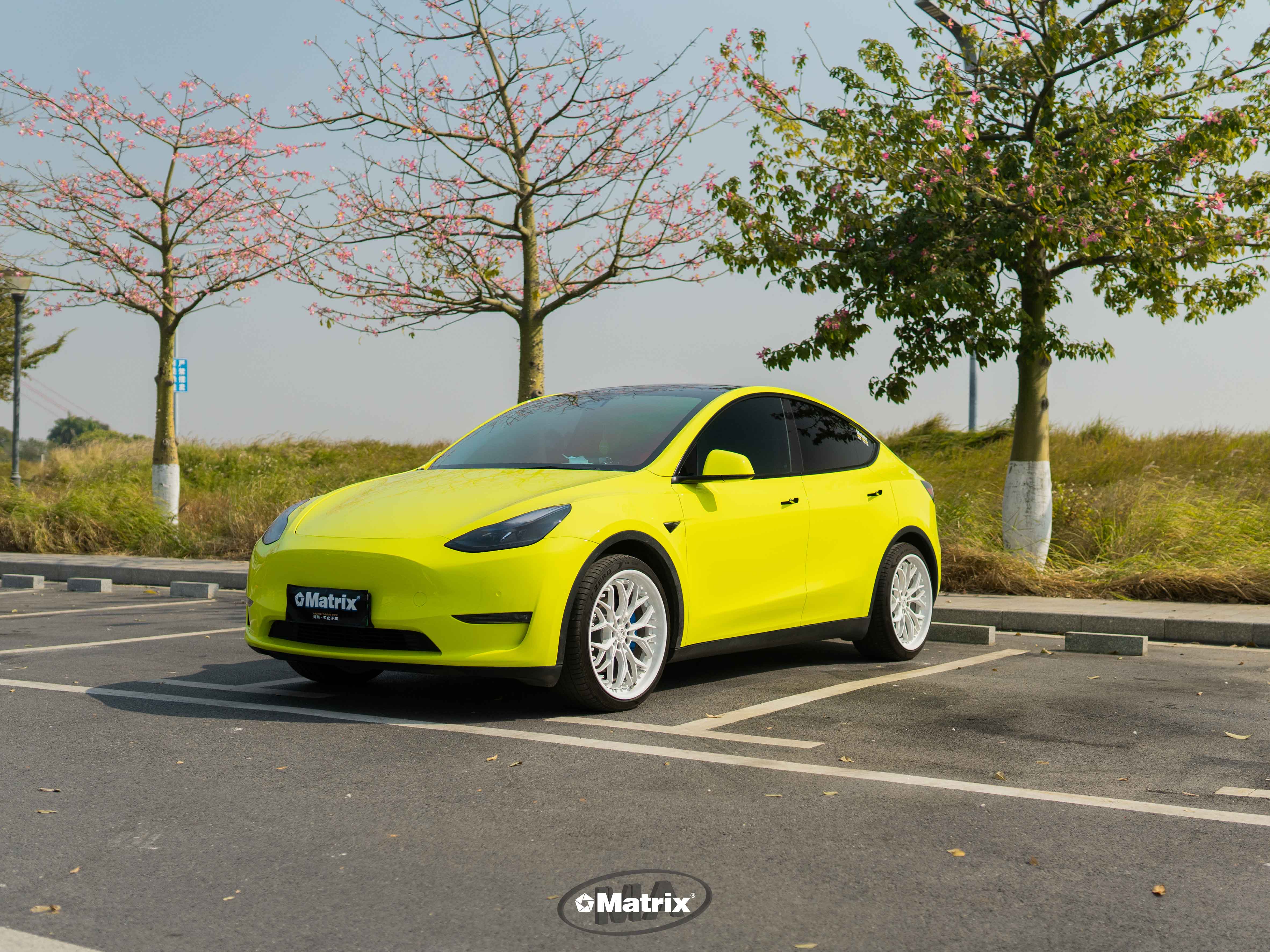 T2312 酸性绿 TPU Acid Green 特斯拉ModelY