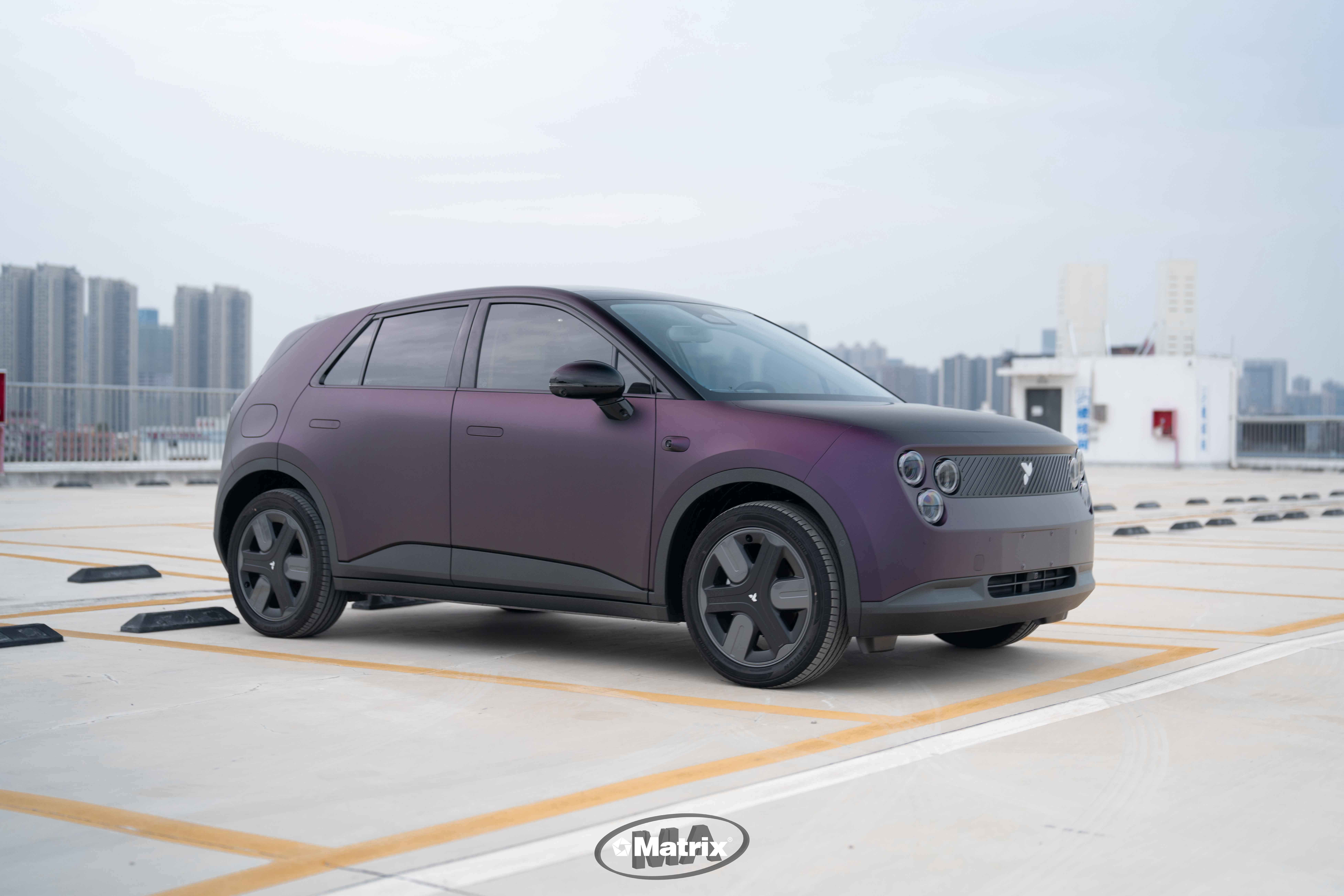 MY837 超哑黑幻紫 PET Ultra-Matte Blcak Purple 萤火虫