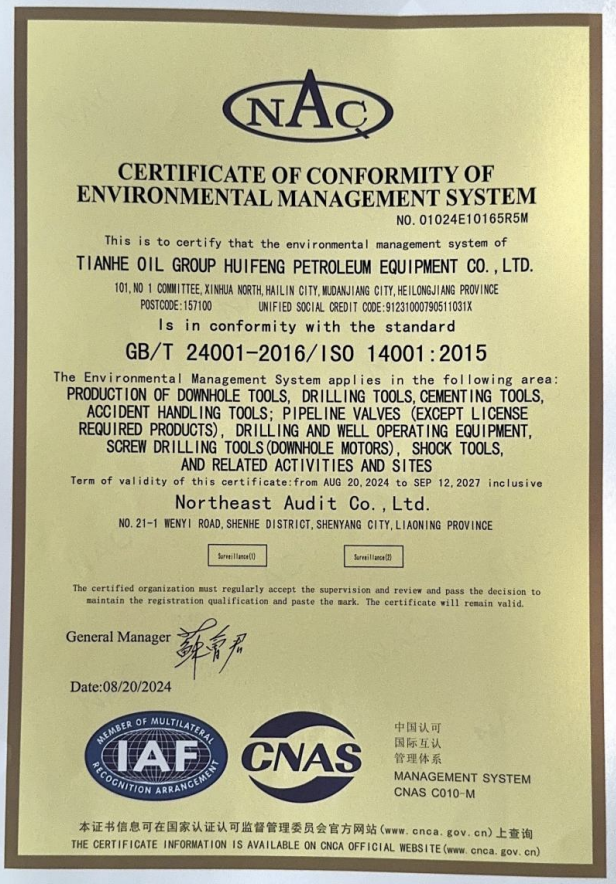 Certificate of Conformity of Environmental Management System