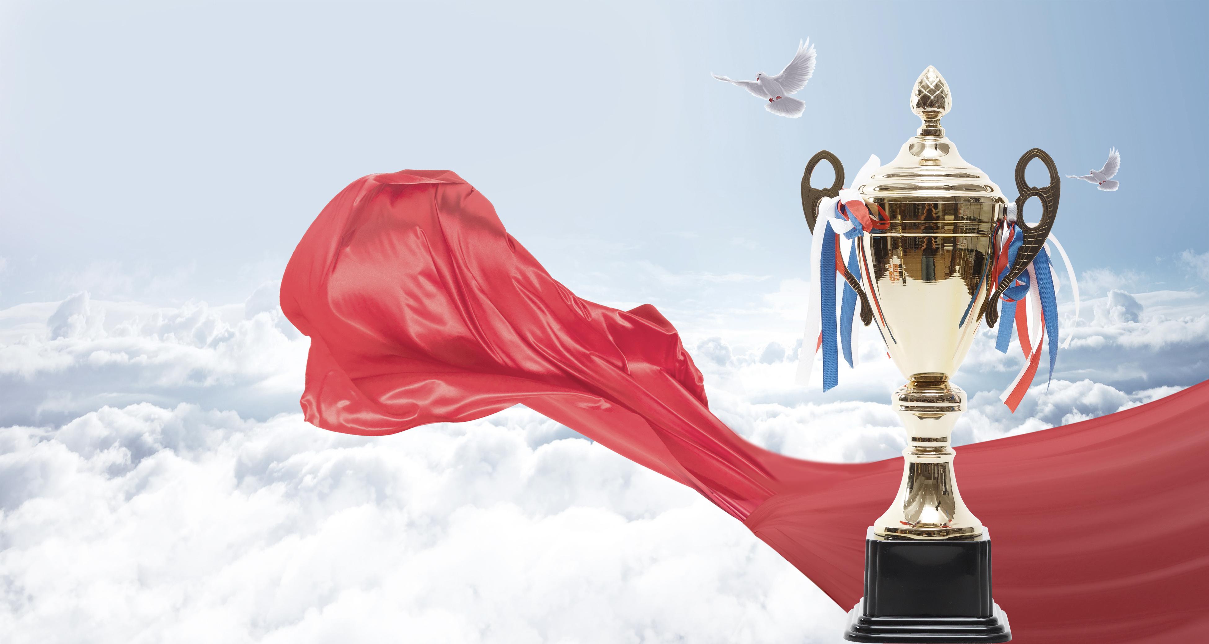 荣誉|久安所荣获市注册会计师行业党委表彰多项殊荣